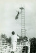 Diving dogs, AFL-CIO labor day picnic, 1957