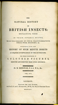 title page