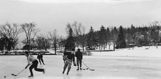 Hockey on the pond