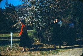 Ladies wait for a bus