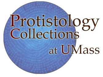 History of Protistology
