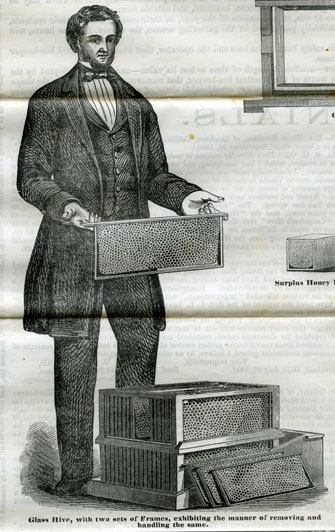 
An image of: Advertisement for L.L. Langstroth moveable comb hive