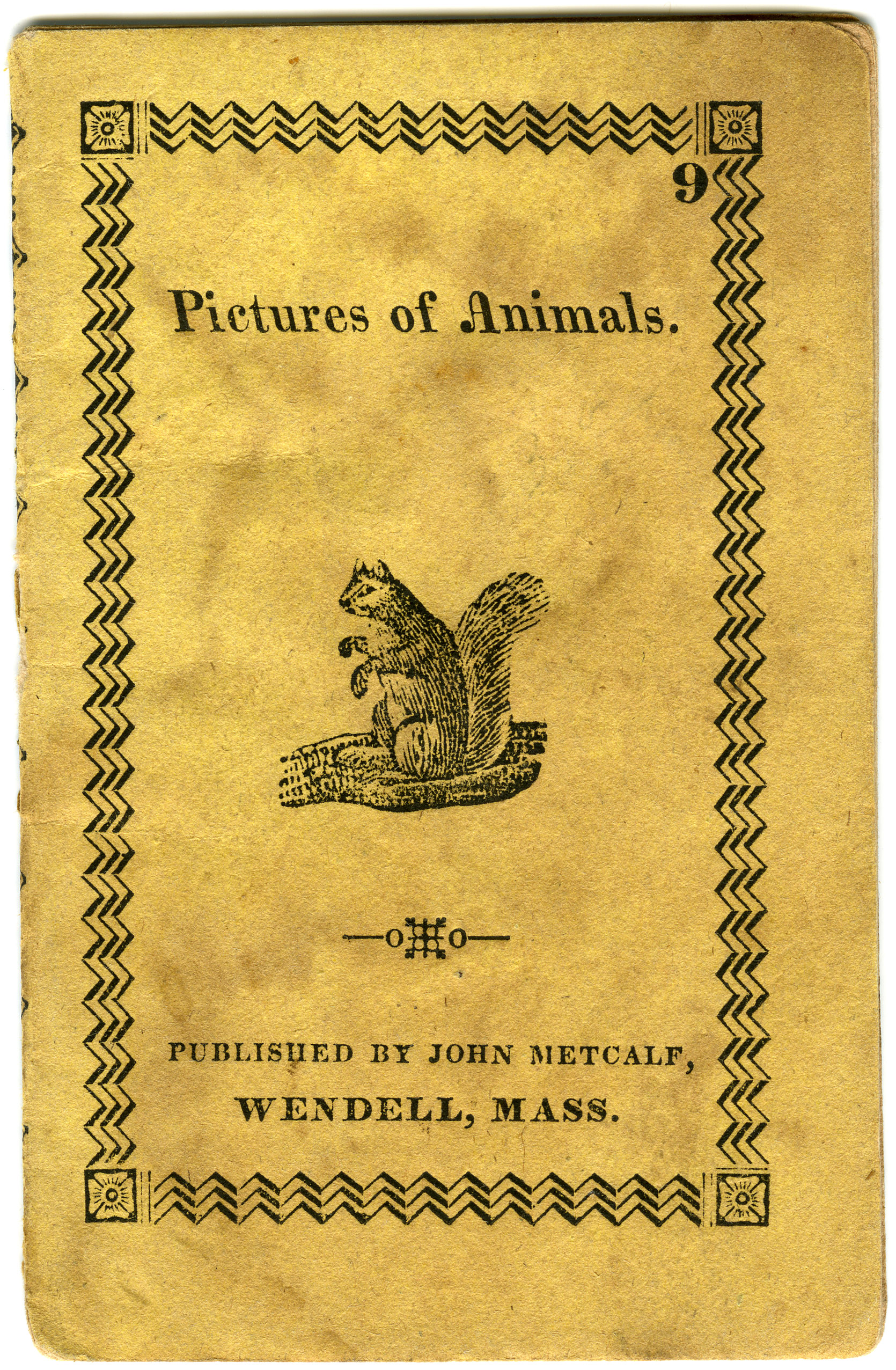 John Metcalf's Pictures of animals