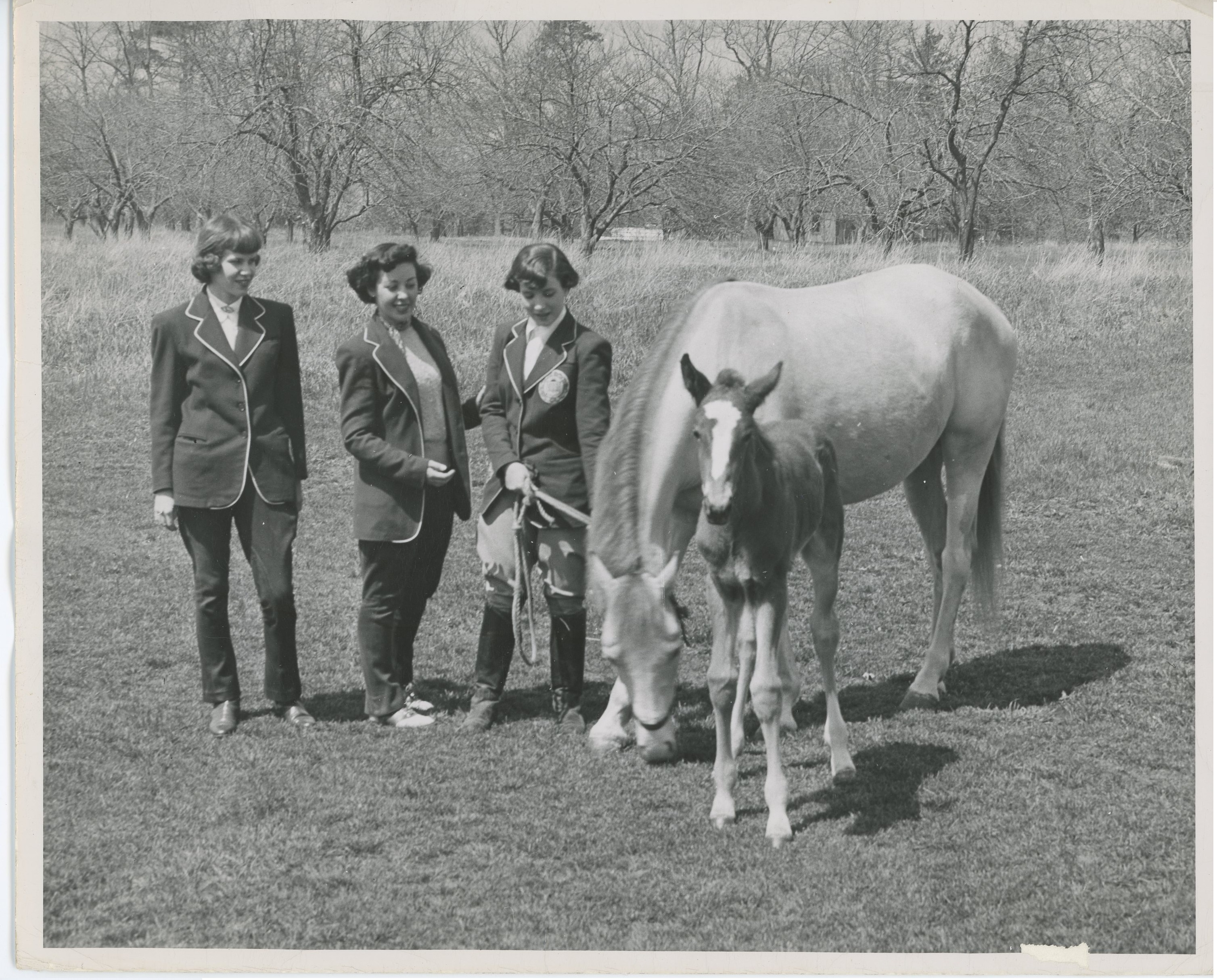 Depiction of Three Mount Ida College students with a mare and foal