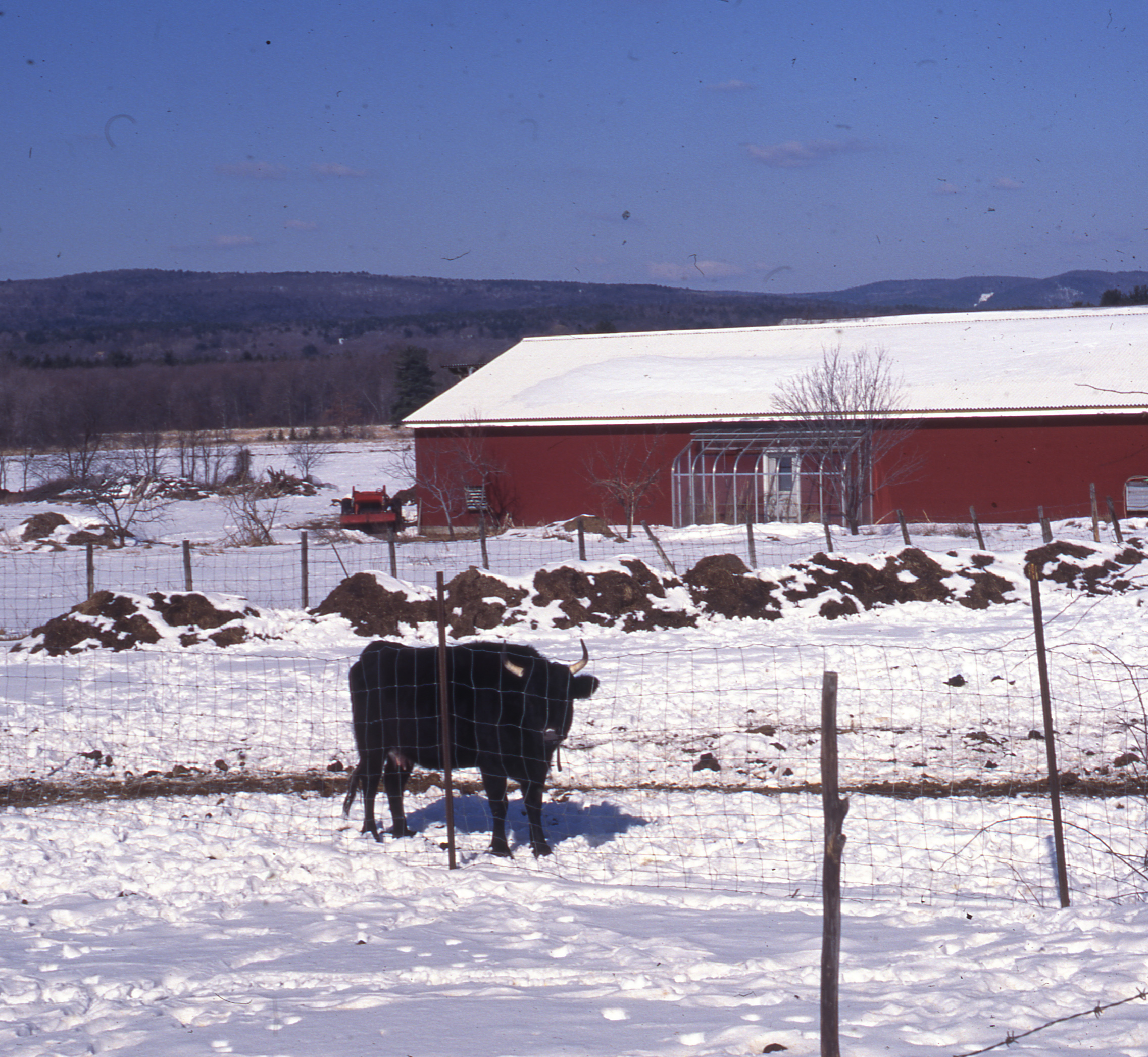 Depiction of Brookfield Farm, 1995