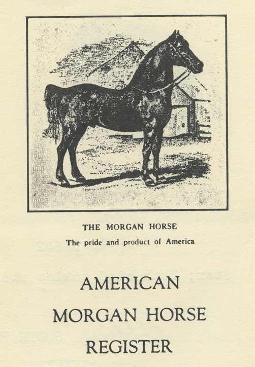 Depiction of Morgan horses at MAC