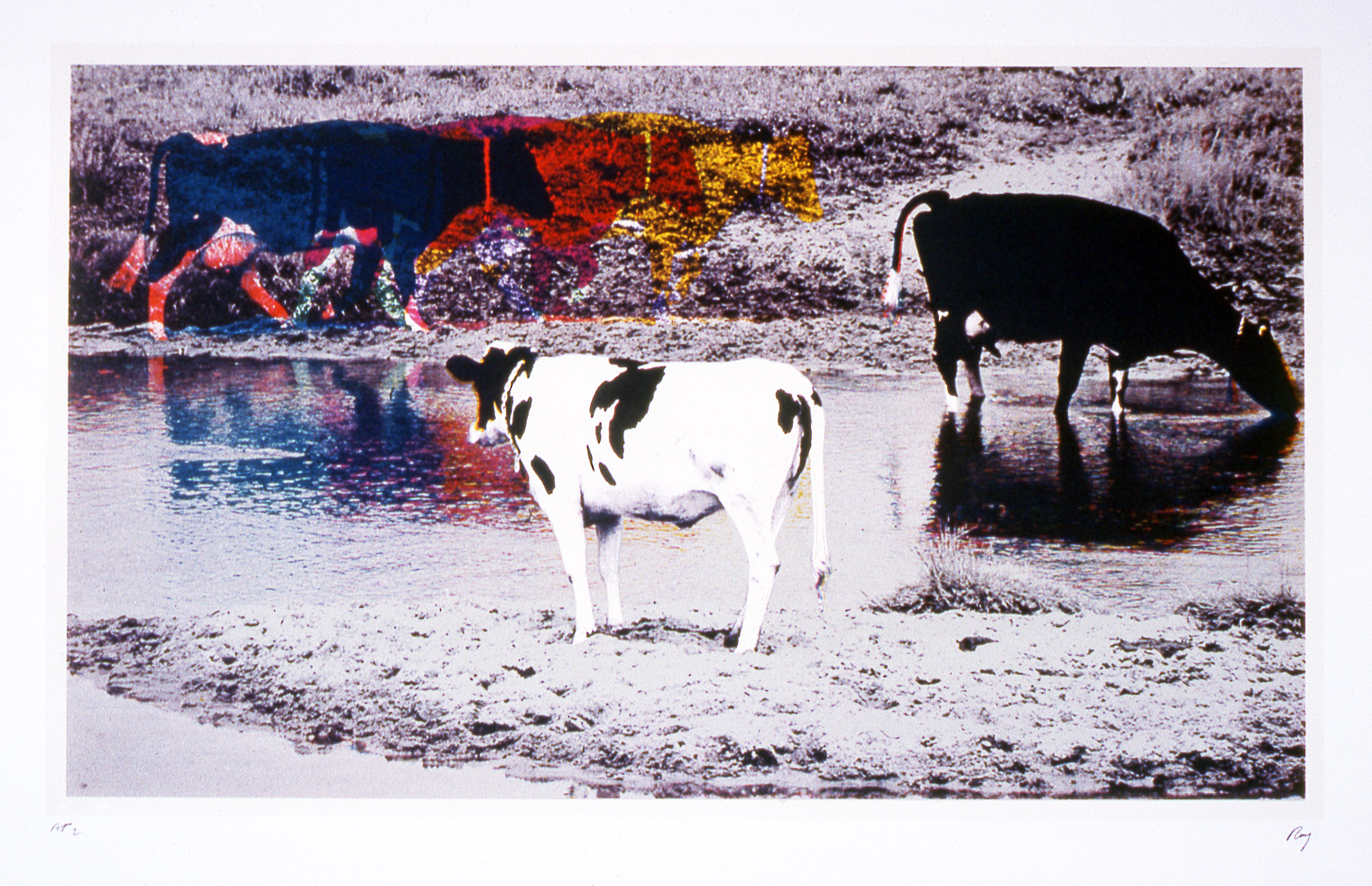 Depiction of John Roy, Three Cows