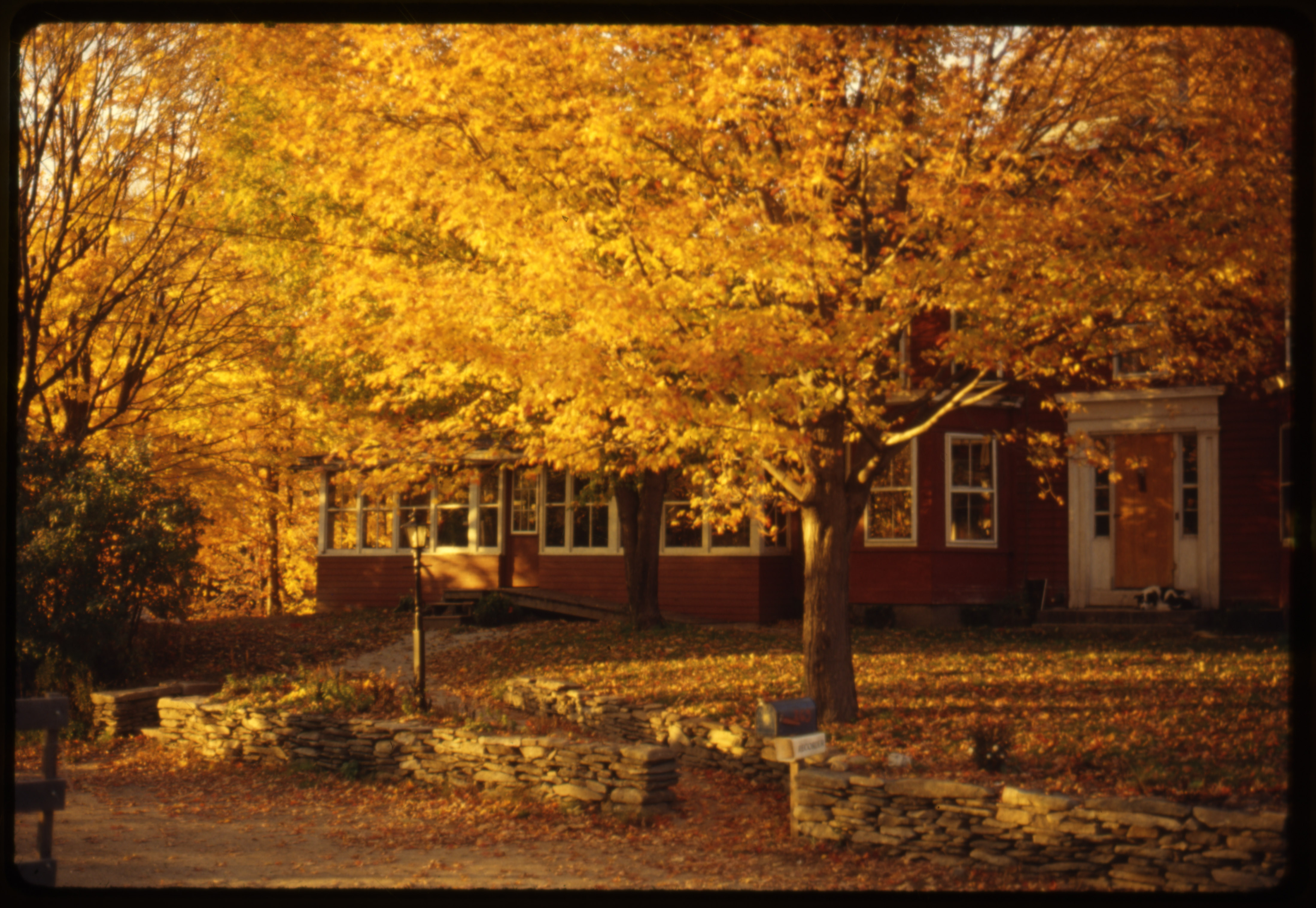 Depiction of The Farm in fall color, Oct. 1980