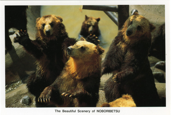 Depiction of Bears