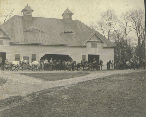 Horse Barn
